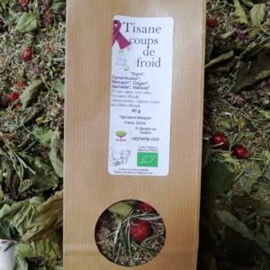 tisane coups de froid