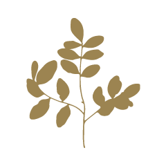 fleur-valyherba